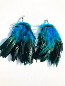Blue Raven Feathers - Nappy Rutz